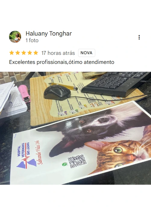 Avaliação 5 estrelas