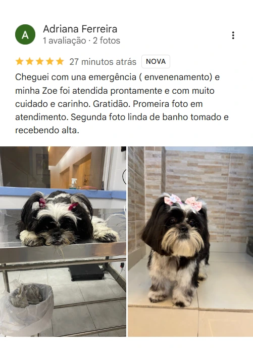 Avaliação 5 estrelas