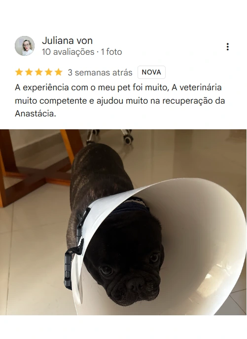 Avaliação 5 estrelas